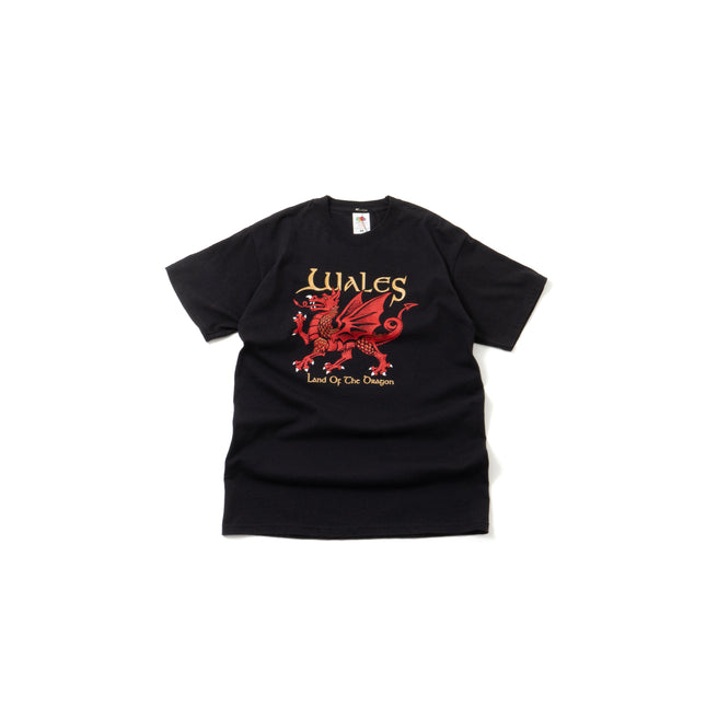 Wales Land Of The Dragon S/S Tee