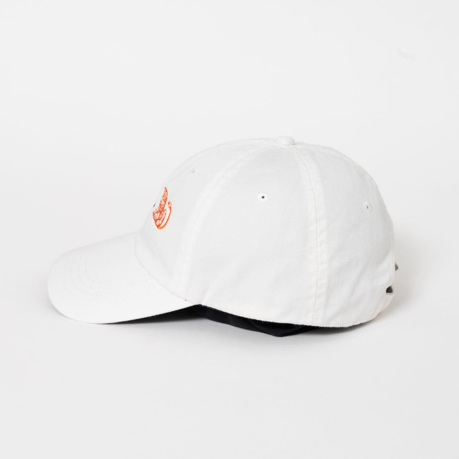 ING 6 PANEL CAP