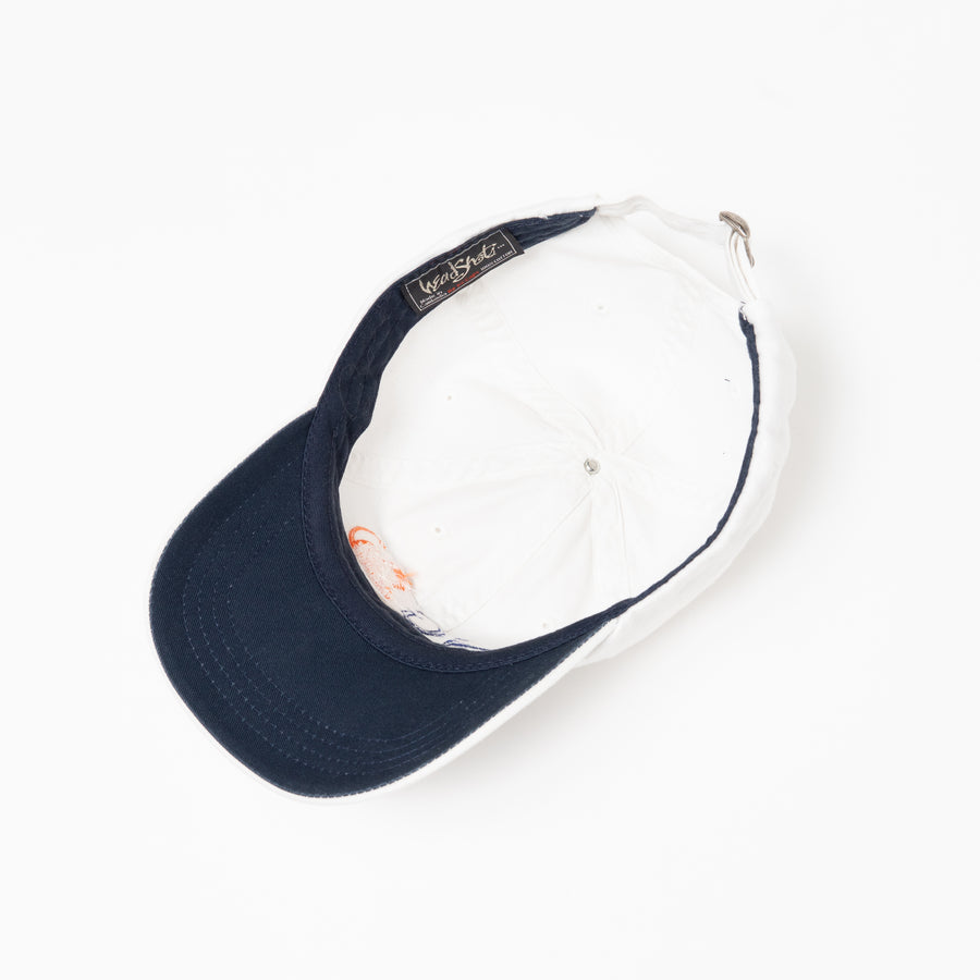 ING 6 PANEL CAP